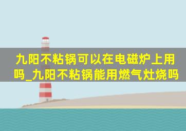 九阳不粘锅可以在电磁炉上用吗_九阳不粘锅能用燃气灶烧吗