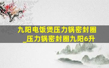 九阳电饭煲压力锅密封圈_压力锅密封圈九阳6升