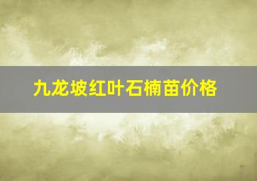 九龙坡红叶石楠苗价格