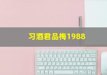 习酒君品梅1988