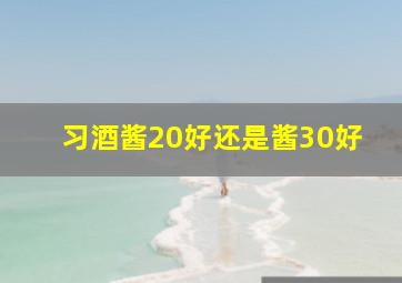 习酒酱20好还是酱30好