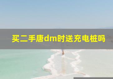 买二手唐dm时送充电桩吗