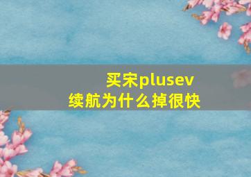 买宋plusev续航为什么掉很快