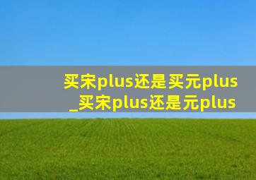 买宋plus还是买元plus_买宋plus还是元plus