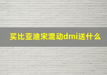 买比亚迪宋混动dmi送什么