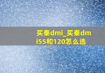 买秦dmi_买秦dmi55和120怎么选