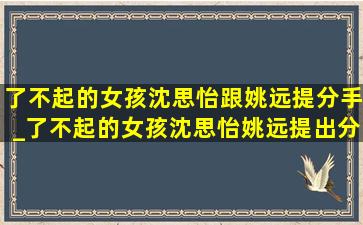 了不起的女孩沈思怡跟姚远提分手_了不起的女孩沈思怡姚远提出分手