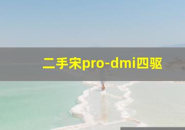 二手宋pro-dmi四驱