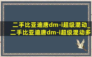 二手比亚迪唐dm-i超级混动_二手比亚迪唐dm-i超级混动多少钱