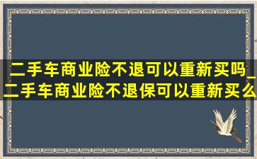 二手车商业险不退可以重新买吗_二手车商业险不退保可以重新买么