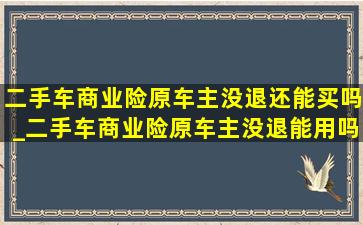 二手车商业险原车主没退还能买吗_二手车商业险原车主没退能用吗