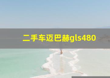 二手车迈巴赫gls480