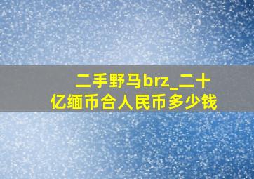 二手野马brz_二十亿缅币合人民币多少钱