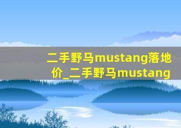 二手野马mustang落地价_二手野马mustang