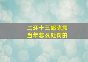 二环十三郎陈震当年怎么处罚的