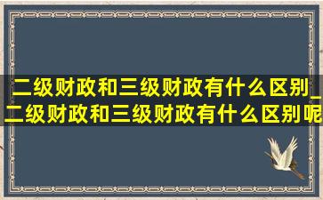 二级财政和三级财政有什么区别_二级财政和三级财政有什么区别呢