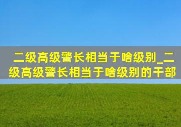 二级高级警长相当于啥级别_二级高级警长相当于啥级别的干部