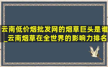 云南(低价烟批发网)的烟草巨头是谁_云南烟草在全世界的影响力排名图