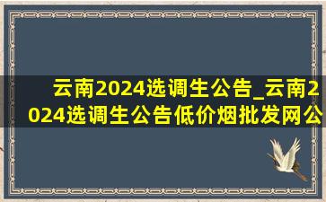 云南2024选调生公告_云南2024选调生公告(低价烟批发网)公布