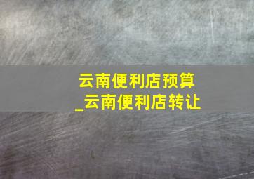 云南便利店预算_云南便利店转让