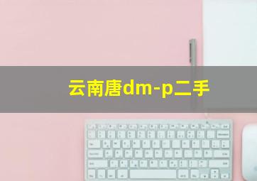 云南唐dm-p二手