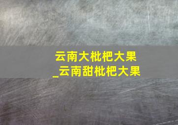 云南大枇杷大果_云南甜枇杷大果