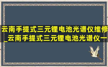 云南手提式三元锂电池光谱仪维修_云南手提式三元锂电池光谱仪一级代理