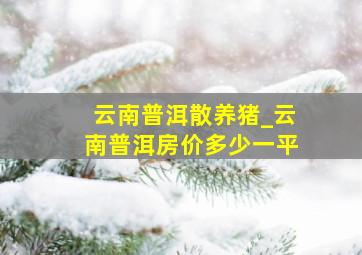 云南普洱散养猪_云南普洱房价多少一平