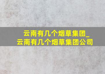 云南有几个烟草集团_云南有几个烟草集团公司