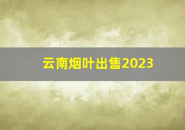 云南烟叶出售2023