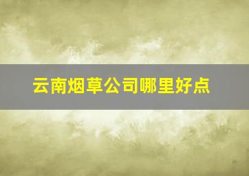 云南烟草公司哪里好点