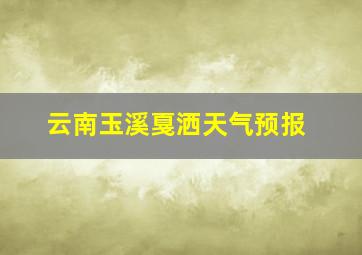 云南玉溪戛洒天气预报