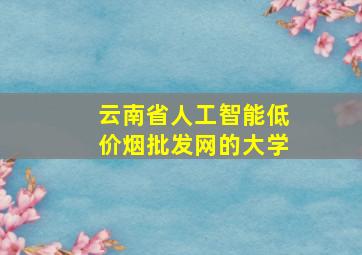 云南省人工智能(低价烟批发网)的大学