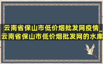 云南省保山市(低价烟批发网)疫情_云南省保山市(低价烟批发网)的水库