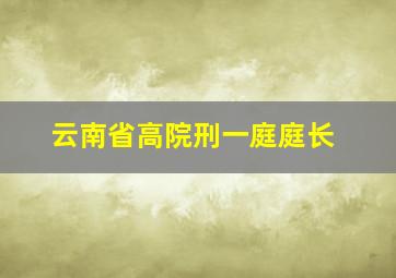 云南省高院刑一庭庭长