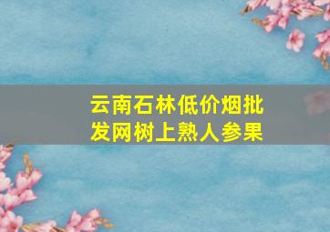 云南石林(低价烟批发网)树上熟人参果