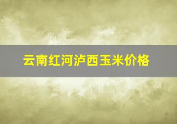 云南红河泸西玉米价格