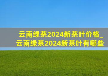 云南绿茶2024新茶叶价格_云南绿茶2024新茶叶有哪些