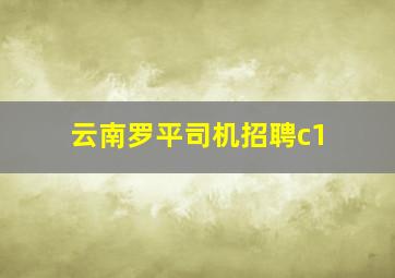 云南罗平司机招聘c1