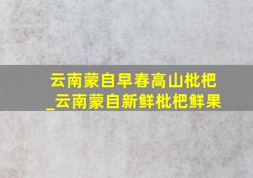 云南蒙自早春高山枇杷_云南蒙自新鲜枇杷鲜果