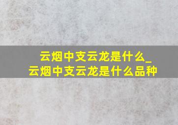 云烟中支云龙是什么_云烟中支云龙是什么品种