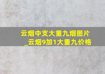 云烟中支大重九烟图片_云烟9加1大重九价格