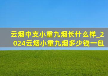 云烟中支小重九烟长什么样_2024云烟小重九烟多少钱一包