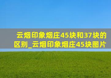 云烟印象烟庄45块和37块的区别_云烟印象烟庄45块图片