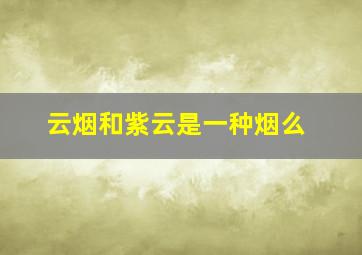 云烟和紫云是一种烟么