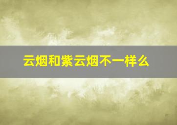 云烟和紫云烟不一样么