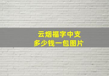 云烟福字中支多少钱一包图片