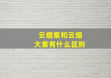 云烟紫和云烟大紫有什么区别