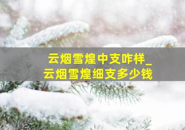 云烟雪煌中支咋样_云烟雪煌细支多少钱