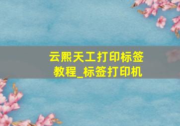 云熙天工打印标签教程_标签打印机